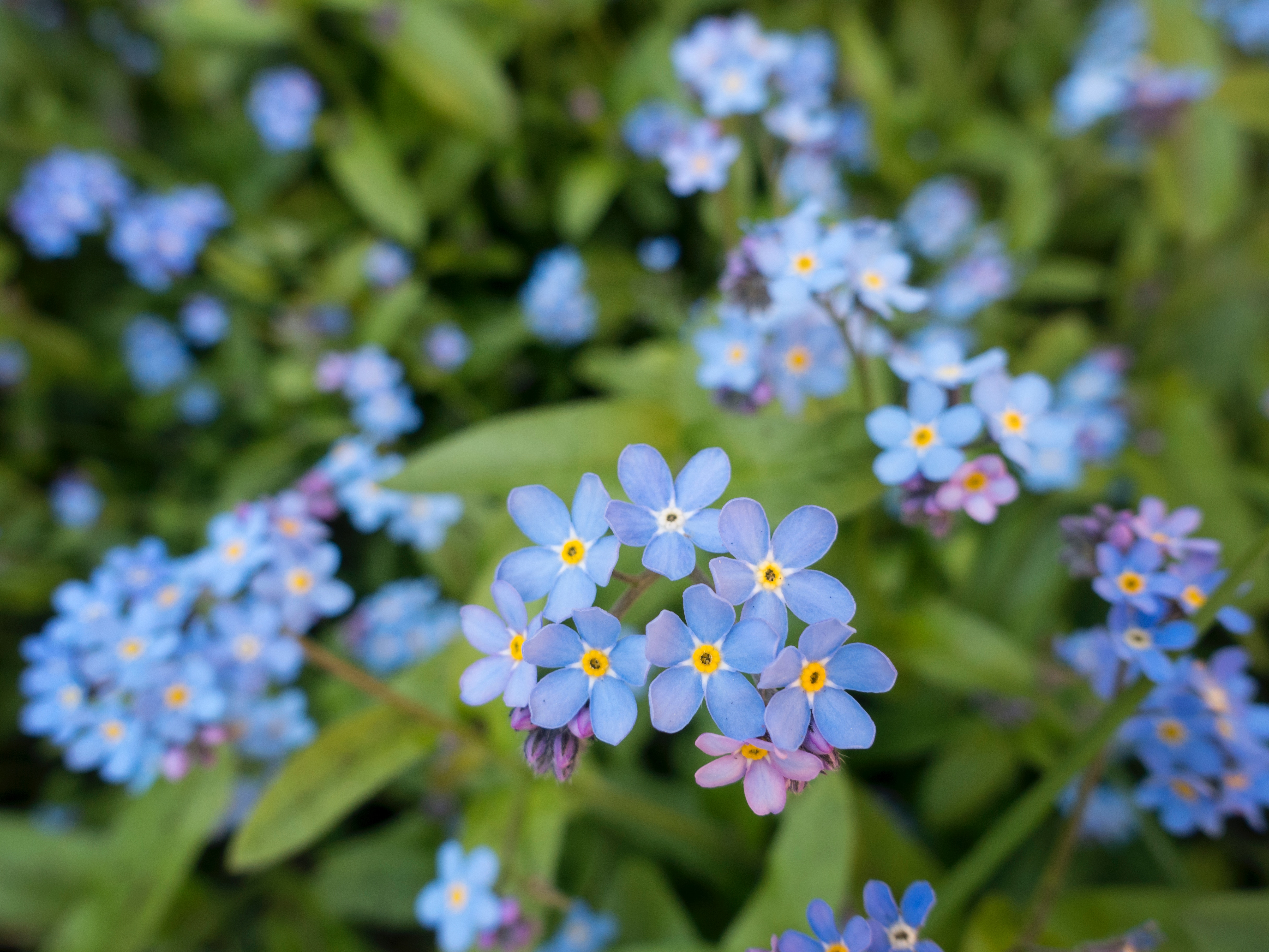 gemma-evans-89906-unsplash